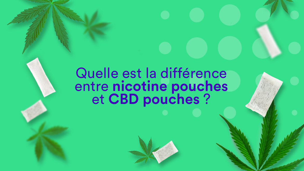Nicotine pouches et CBD pouches : quelles différences ?